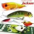 JACKSON JACKSON