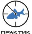 Электрические насосы Практик