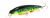 Воблер Jackall Rerange 130SP hot tiger Воблер Jackall Rerange 130SP hot tiger
