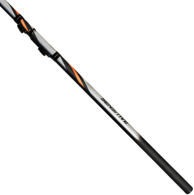Болонская удочка с кольцами DAYO Thunder 10-30gr 6m